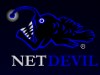 NetDevil NOT To Develop Transformers Online Game