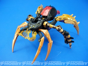 Transformers News: New Stock Photos of Takara Tomy Transformers Legends Nightbird, Slipstream, and Blackarachnia
