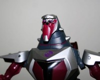 Transformers News: In Hand Images Of Botcon 2011 Wildrider