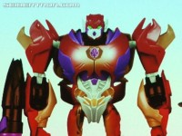 Transformers News: BotCon 2013 News: Hasbro Brand, TFCC and Rescue Bots Gallery