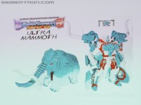 Transformers News: Transformers Collectors' Club Figure Subscription Service announced - now with pics