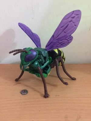 Transformers News: Possible Look At Transformers Kingdom Deluxe Class Waspinator