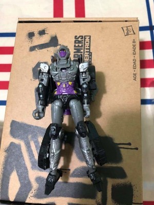 Transformers News: First Image of Transformers Siege Nightbird