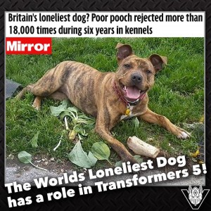 Transformers News: Transformers: The Last Knight - UK's 'Loneliest Dog' Freya Joins the Cast