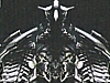 Transformers News: Transformers ROTF Legends Megatron Images
