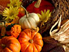 Transformers News: Happy Thanksgiving!