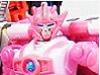 Transformers News: Size Comparison Images of Botcon 2009 Elita-1