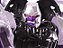 Transformers News: Over 210 Pictures of Robot Masters Optimus Primal (Beast Convoy), BW Megatron (Beast Megatron) and Starscream now online!