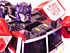 Transformers News: Over 220 pictures of E-Optimus, Superlink Convoy, & STD Convoy