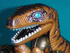 Painted Beast Wars 10th anniversary Dinobot Prototype