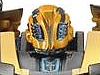 First Look at Stealth Bumblebee In-Package