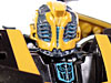 New Movie Galleries including Stealth Bumblebee