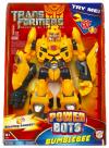 Product image of Bumblebee