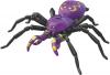 Product image of Tarantulas