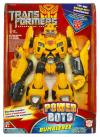 Product image of Bumblebee