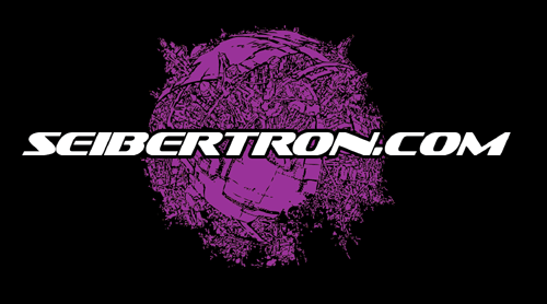 Transformers News: Seibertron.com 2008 TShirt unveiled ... available at BotCon!