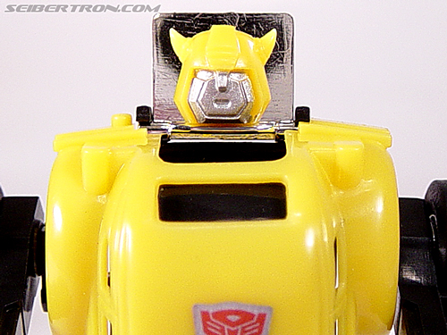 Bumblebee (Bumble)