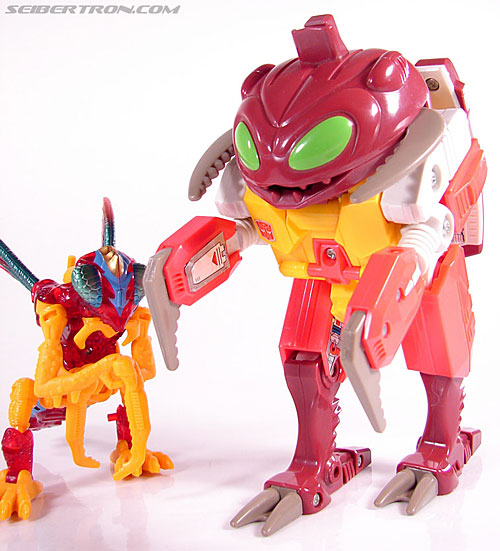 Transformers News: Possible Confirmation of Transformers Power of the Primes Exclusives Repugnus and Counterpunch