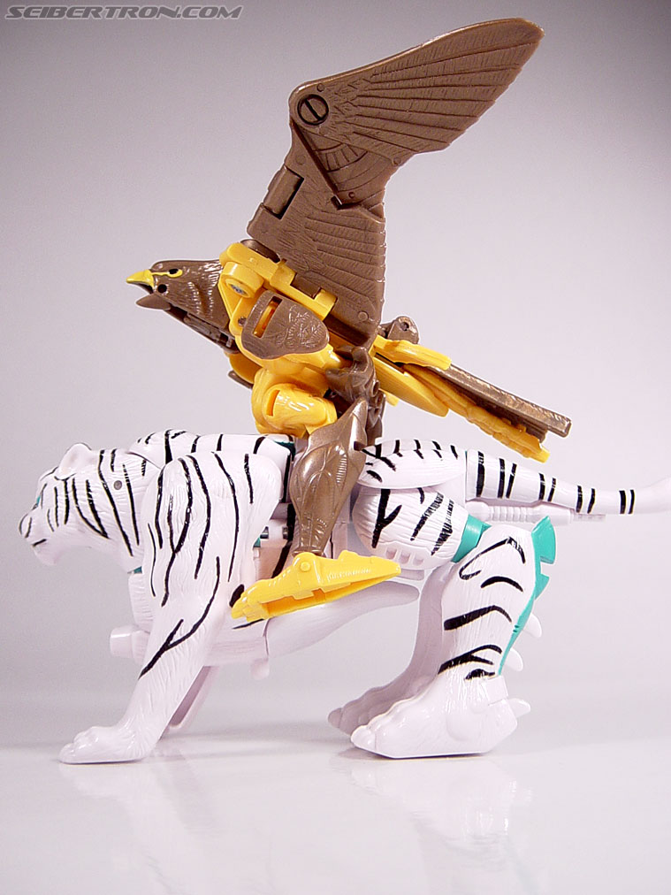 Transformers Beast Wars Airazor (Image #43 of 99)
