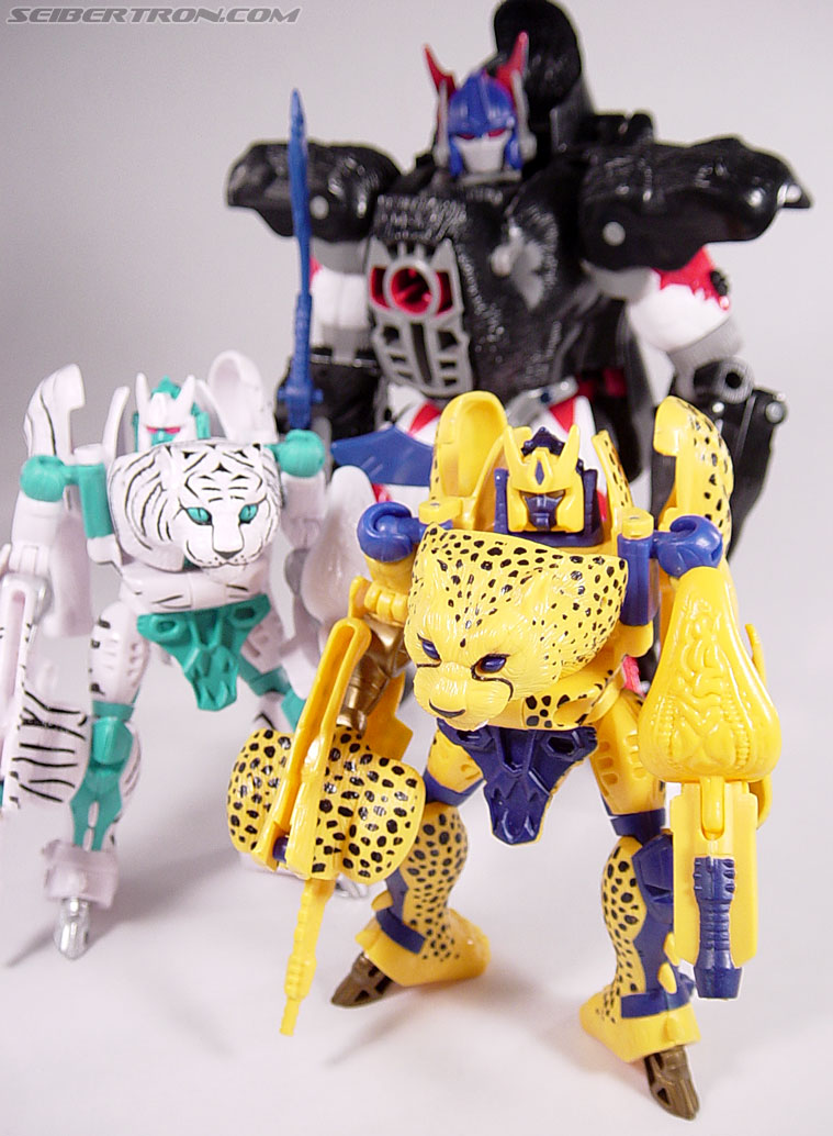 Transformers Beast Wars Cheetor (Chiitas) (Image #86 of 91)