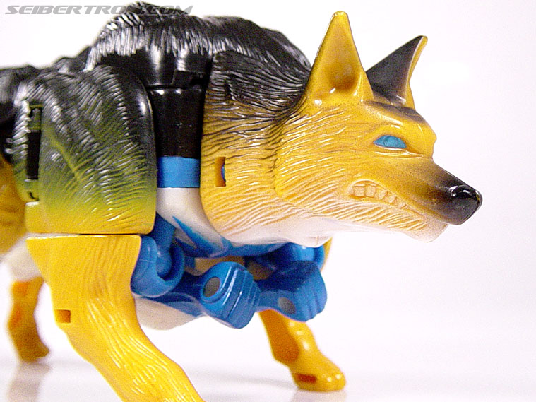 Transformers Beast Wars K-9 (Max-B) (Image #8 of 62) Transformers Beast Wars K-9 (Max-B) (Image #8 of 62)
