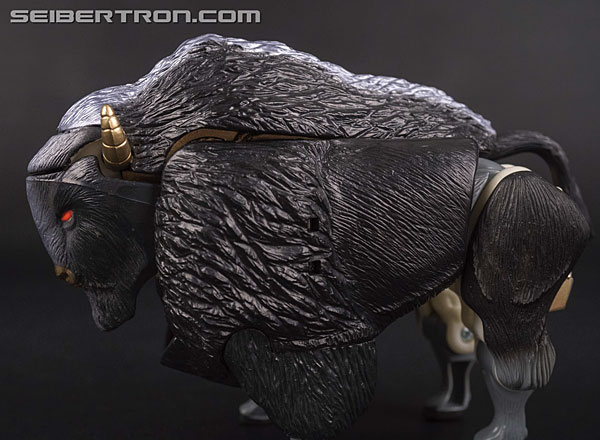 Transformers News: Top 5 Best Beast Wars Toys of Non Show Characters Transformers News: Top 5 Best Beast Wars Toys of Non Show Characters