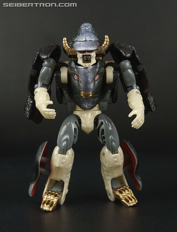Transformers News: Top 5 Best Beast Wars Toys of Non Show Characters Transformers News: Top 5 Best Beast Wars Toys of Non Show Characters