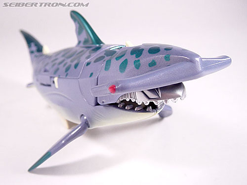 Transformers News: The Return of Transformers SHARK WEEK continues with Maximal Cybershark