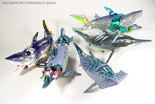 Transformers News: The Return of Transformers SHARK WEEK continues with Maximal Cybershark
