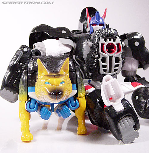 Transformers News: Happy New Lunar Year from Seibertron.com!
