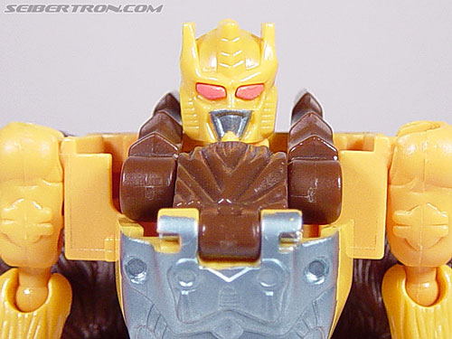 Prowl