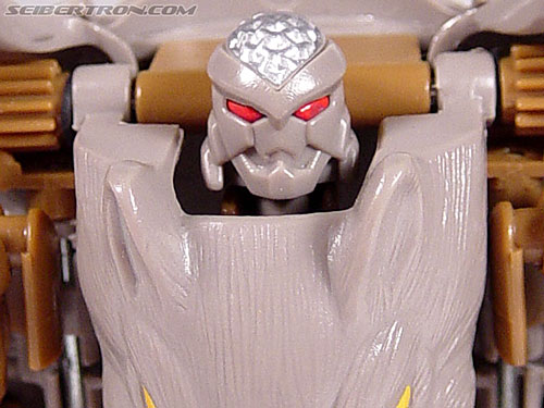 Rattrap