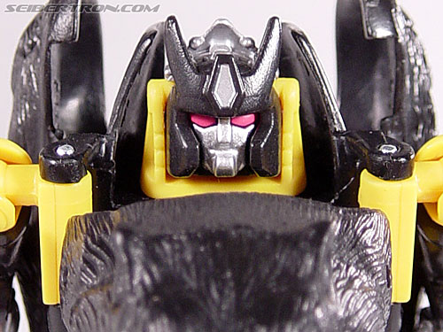 Shadow Panther