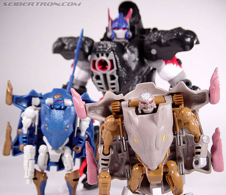 Transformers Beast Wars Rattrap (Rattle) (Image #105 of 105)