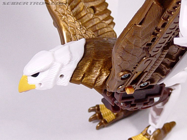 Transformers Beast Wars Silverbolt (Skywarp) (Image #18 of 52)