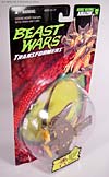 Beast Wars Airazor - Image #3 of 99