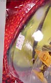 Beast Wars Airazor - Image #4 of 99