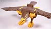 Beast Wars Airazor - Image #28 of 99