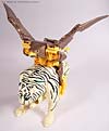 Beast Wars Airazor - Image #37 of 99