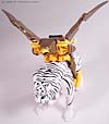 Beast Wars Airazor - Image #41 of 99