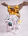 Beast Wars Airazor - Image #52 of 99