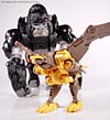 Beast Wars Airazor - Image #56 of 99