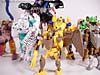 Beast Wars Airazor - Image #58 of 99