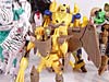 Beast Wars Airazor - Image #59 of 99