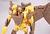 Beast Wars Airazor - Image #72 of 99