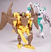 Beast Wars Airazor - Image #87 of 99