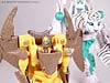 Beast Wars Airazor - Image #89 of 99