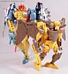 Beast Wars Airazor - Image #94 of 99