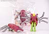 Beast Wars Beetle - Image #4 of 87