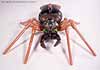 Beast Wars Blackarachnia - Image #13 of 79